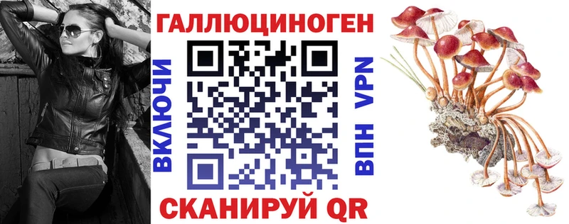 Купить где  Куйбышев  Псилоцибиновые грибы Magic Shrooms 